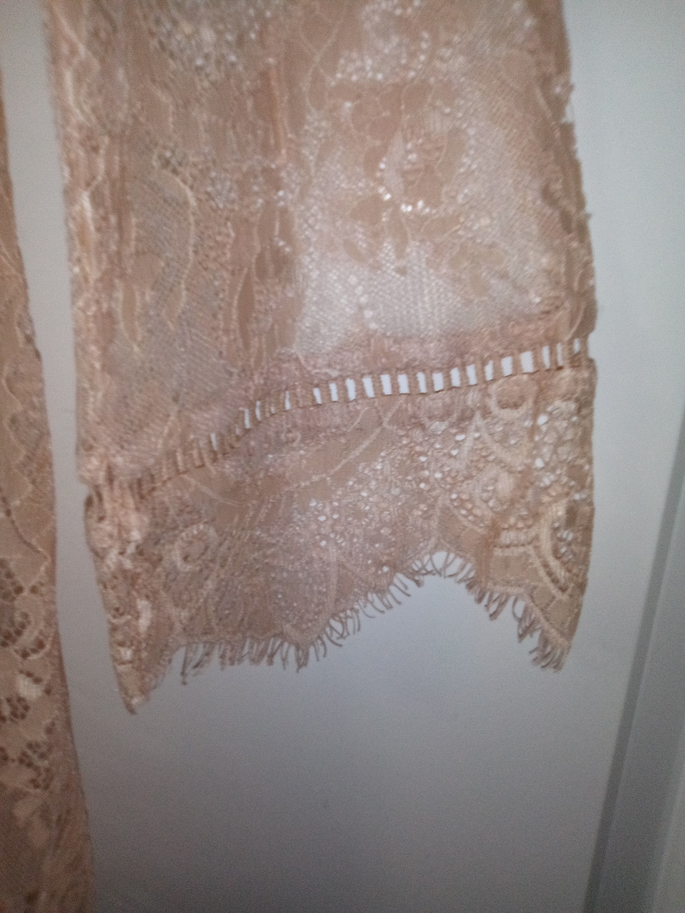 Ultra Pink Coquette Balletcore Boho Chic Whimsigoth Lace Sheer Blouse Size Large - Picture 3 of 9